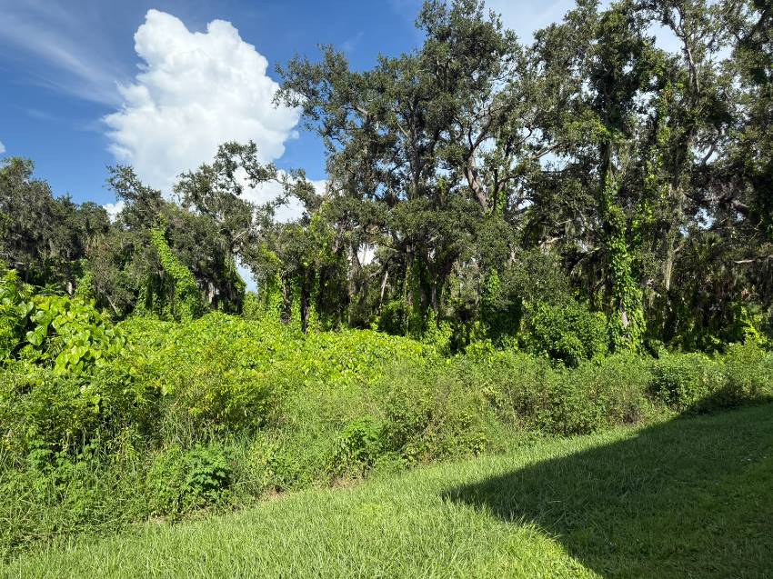 3523 Vine Trail a Ellenton, FL Mobile or Manufactured Home for Sale